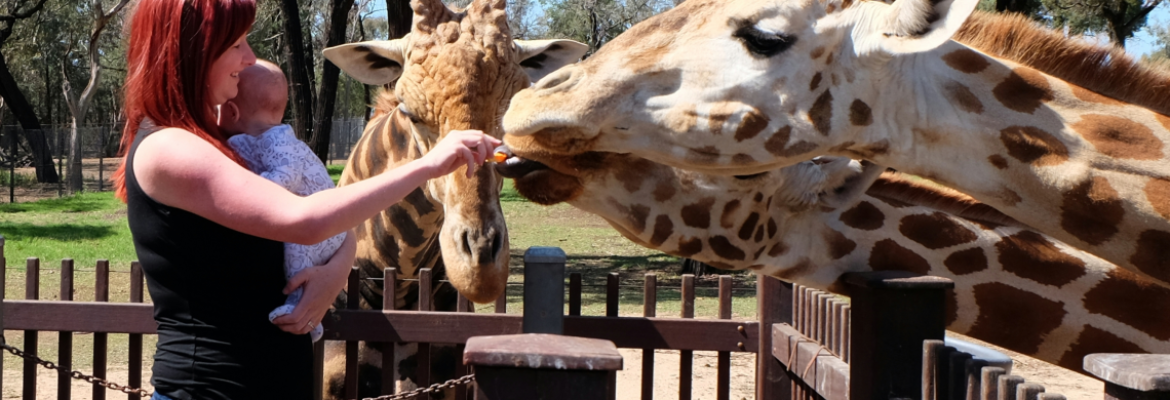 Symbio Wildlife Park